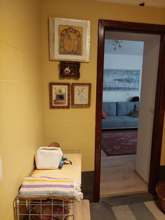 Campitelli View Apartment Rovinj Ngoại thất bức ảnh